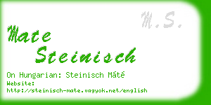 mate steinisch business card