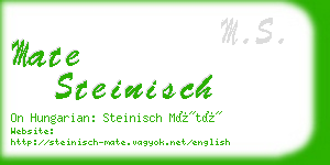 mate steinisch business card